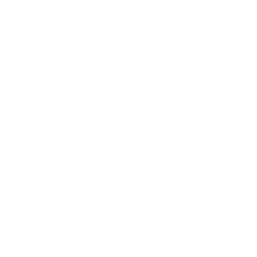 St. Martin De Porres